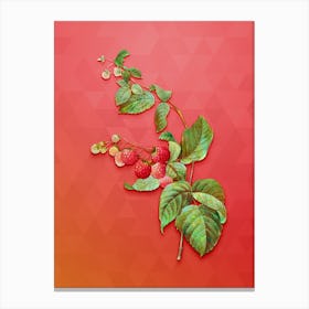 Vintage Red Berries Botanical Art on Fiery Red Canvas Print