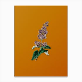 Vintage Lady Josika's Lilac Flower Botanical on Sunset Orange n.0783 Canvas Print