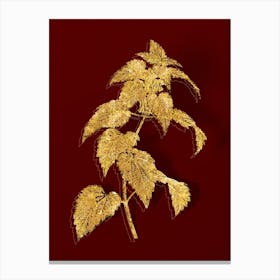 Vintage White Dead Nettle Plant Botanical in Gold on Red Canvas Print