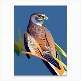 Eurasian Sparrowhawk Pop Matisse Bird Canvas Print
