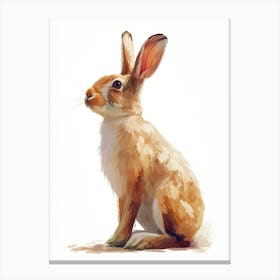 Polish Rex Rabbit Kids Illustration 3 Canvas Print
