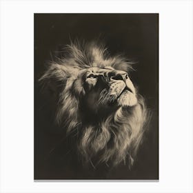 African Lion Charcoal Drawing Symbolic Imagery 4 Canvas Print