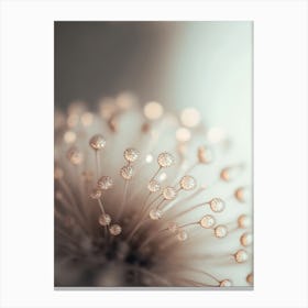 Glassy Flowers Canvas Print