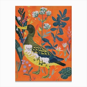 Spring Birds Canvasback 1 Canvas Print