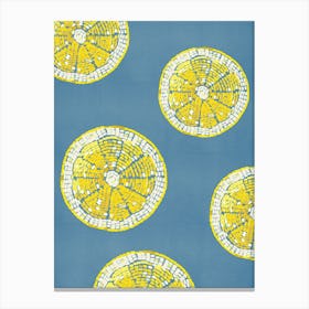 Lemonade Beads Canvas Print