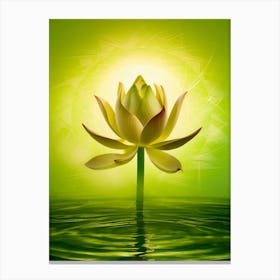 Lotus Flower 66 Canvas Print