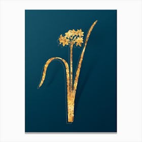 Vintage Cowslip Cupped Daffodil Botanical in Gold on Teal Blue n.0056 Canvas Print