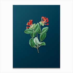 Vintage North West Honeysuckle Flower Botanical Art on Teal Blue Canvas Print