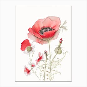 Poppy Floral Quentin Blake Inspired Illustration 3 Flower Canvas Print