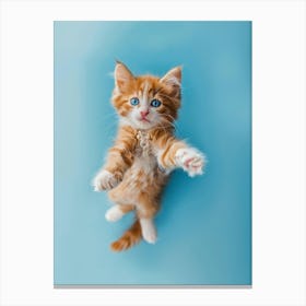 Cute Kitten Jumping On Blue Background Canvas Print