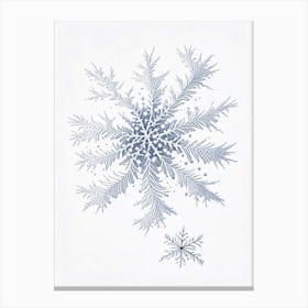 Fernlike Stellar Dendrites, Snowflakes, Pencil Illustration 4 Canvas Print