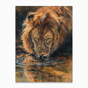 African Lion Drinking From A Watering Hole Acrylic Painting 1 Canvas Print