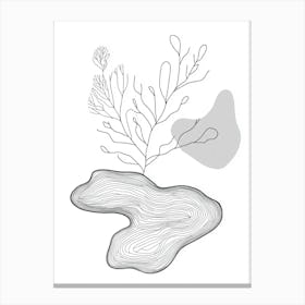 Sand And Seaweed Canvas Print