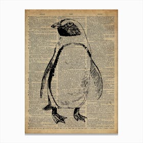 Penguin Bird Canvas Print