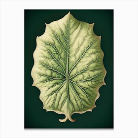 Marshmallow Leaf Vintage Botanical Canvas Print