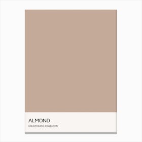 Almond Colour Block Poster Canvas Print