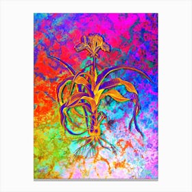 Iris Scorpiodes Botanical in Acid Neon Pink Green and Blue n.0163 Canvas Print