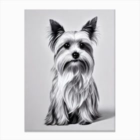 Yorkshire Terrier B&W Pencil dog Canvas Print