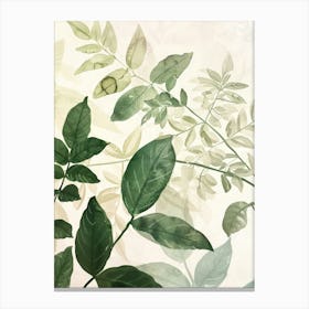 Watercolor Leaves 1 Canvas Print