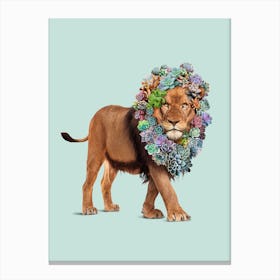 Succulent Lion Canvas Print