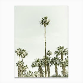 Vintage Palm Trees At The Beach Canvas Print