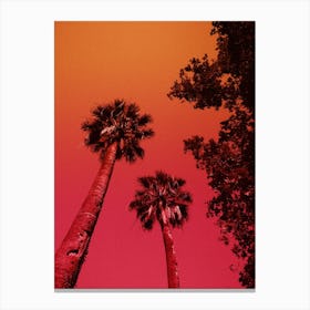 Palm Tree Print 'Cai' Canvas Print