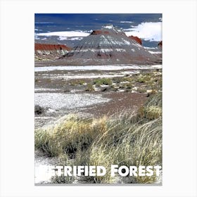 Petrified Forest, National Park, Nature, USA, Wall Print, Canvas Print