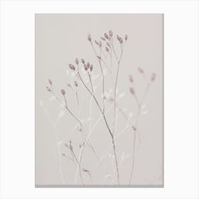 Winter Grass Canvas Print