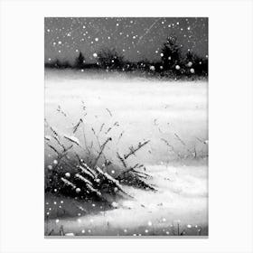 Snowflakes On A Field,Snowflakes Black & White 1 Canvas Print