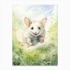 Light Watercolor Painting Of A Possum Running In Field 4 Canvas Print