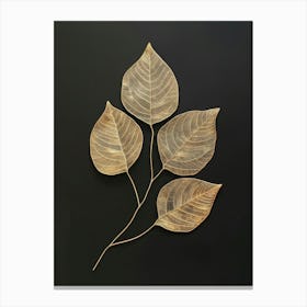 Three Leaves On A Black Surface Canvas Print