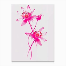 Hot Pink Edelweiss 1 Canvas Print