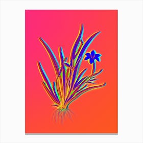 Neon Fortnight Lily Botanical in Hot Pink and Electric Blue n.0269 Canvas Print