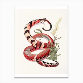 Arizona Coral Snake Vintage Canvas Print