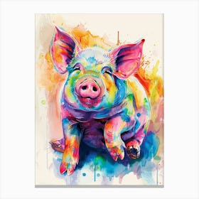 Pig Colourful Watercolour 1 Canvas Print