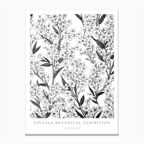 Forget Me Not B&W Vintage Botanical Poster Canvas Print