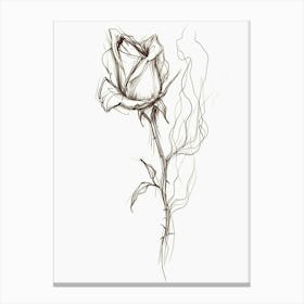 English Rose Burning Line Drawing 3 Canvas Print