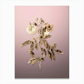 Gold Botanical Hudson Rose on Rose Quartz n.3242 Canvas Print