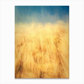 Sand Dune Grass & Blue Sky 1 Canvas Print