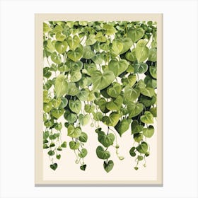 Green Hanging Ivy Canvas Print
