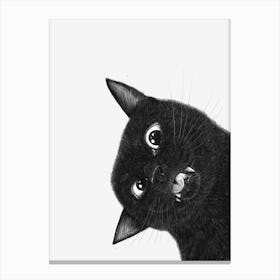 Funny Black Cat Ii Canvas Print
