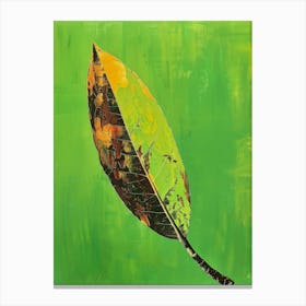 Leaf On Green Canvas Print