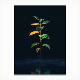 Tree In The Dark 20 Canvas Print