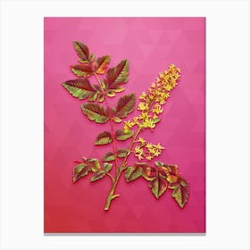 Vintage Golden Rain Tree Botanical Art on Beetroot Purple n.0186 Canvas Print