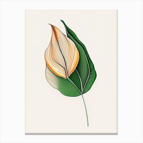 Tulip Leaf Warm Tones 3 Canvas Print
