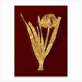 Vintage Knysna Lily Botanical in Gold on Red n.0344 Canvas Print