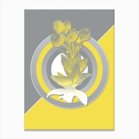 Vintage Cudweeds Botanical Geometric Art in Yellow and Gray n.057 Canvas Print