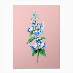 Vintage Bellflowers Botanical on Soft Pink Canvas Print