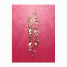 Vintage Cuspidate Rose Botanical in Gold on Viva Magenta n.0554 Canvas Print