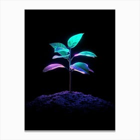 Neon Plant On The Ground Canvas Print